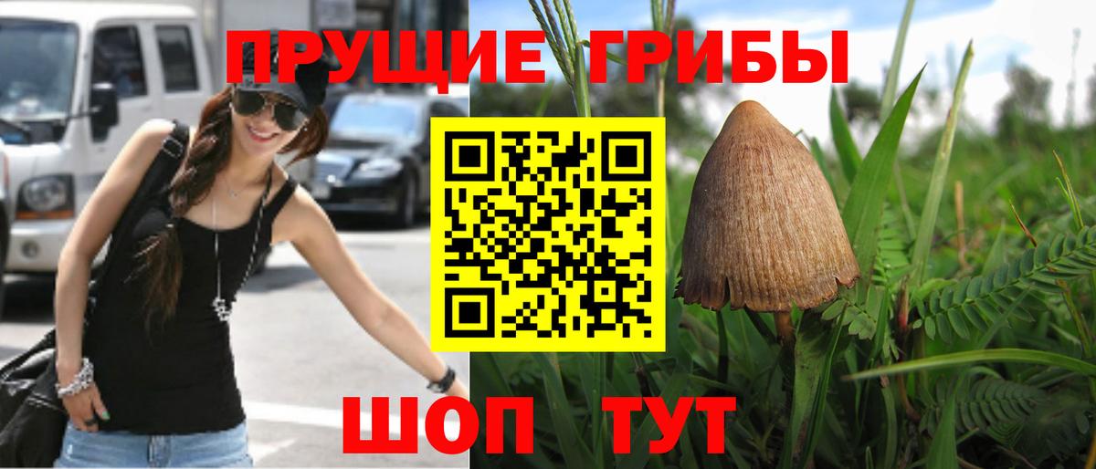 Галлюциногенные грибы Psilocybine cubensis  Галлюциногенные грибы Psilocybe  Вход с VPN  Горячий Ключ 